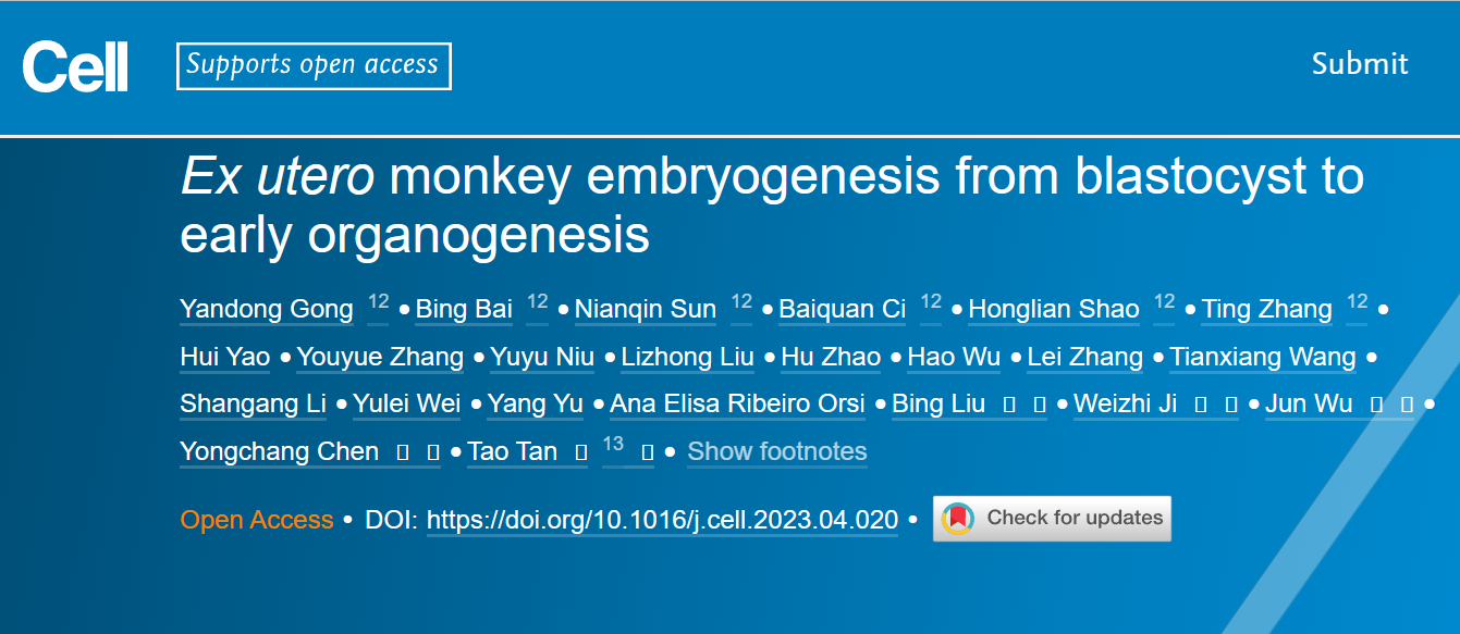 Ex utero monkey embryogenesis from blastocyst to e